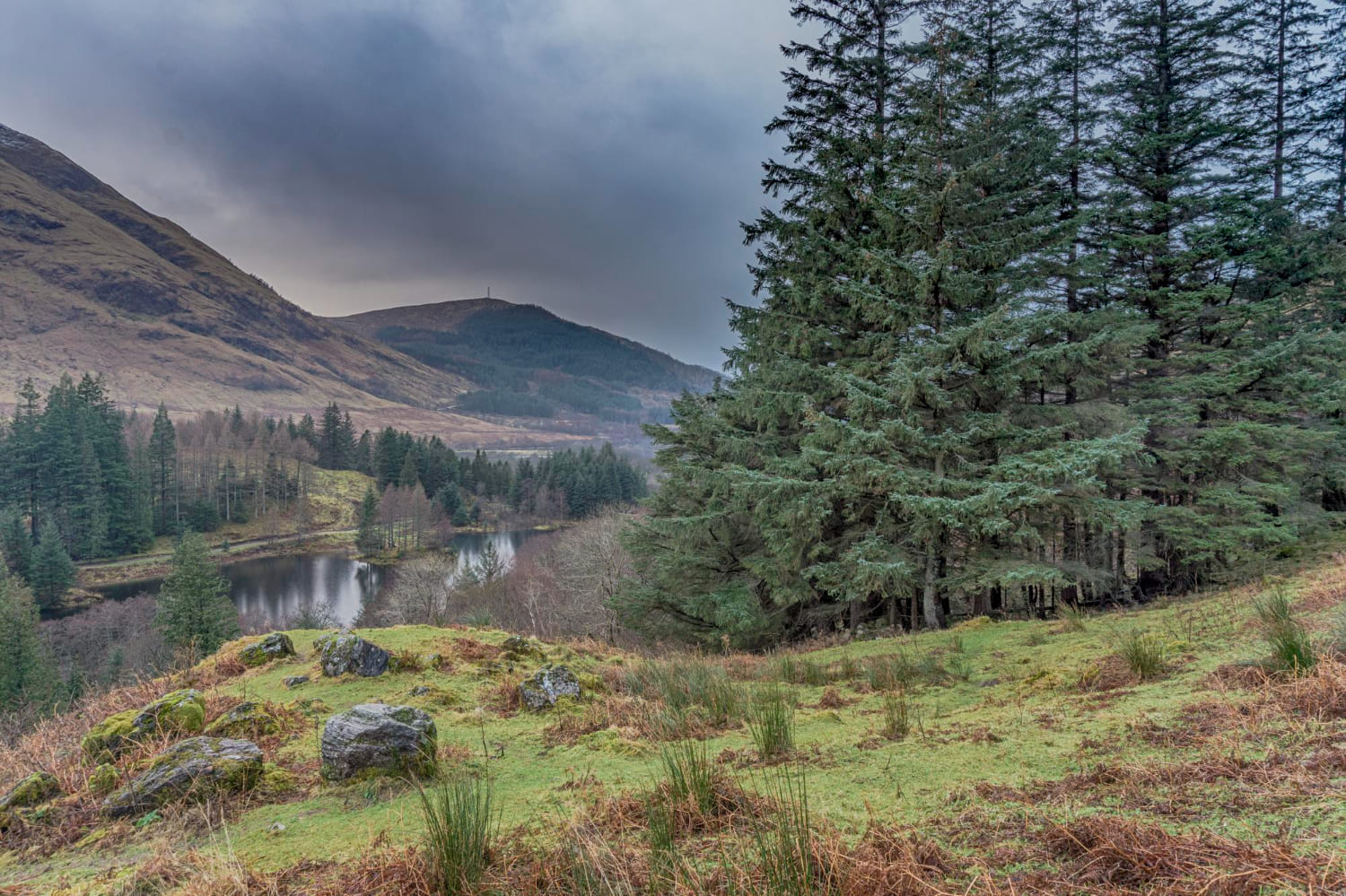 National Tree Week and the Taste of Terroir
